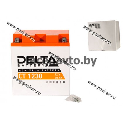 Аккумулятор DELTA MOTO CT 1230 166x126x175 обр/п с/эл YTX30L YTX30L-BS YB30L-B